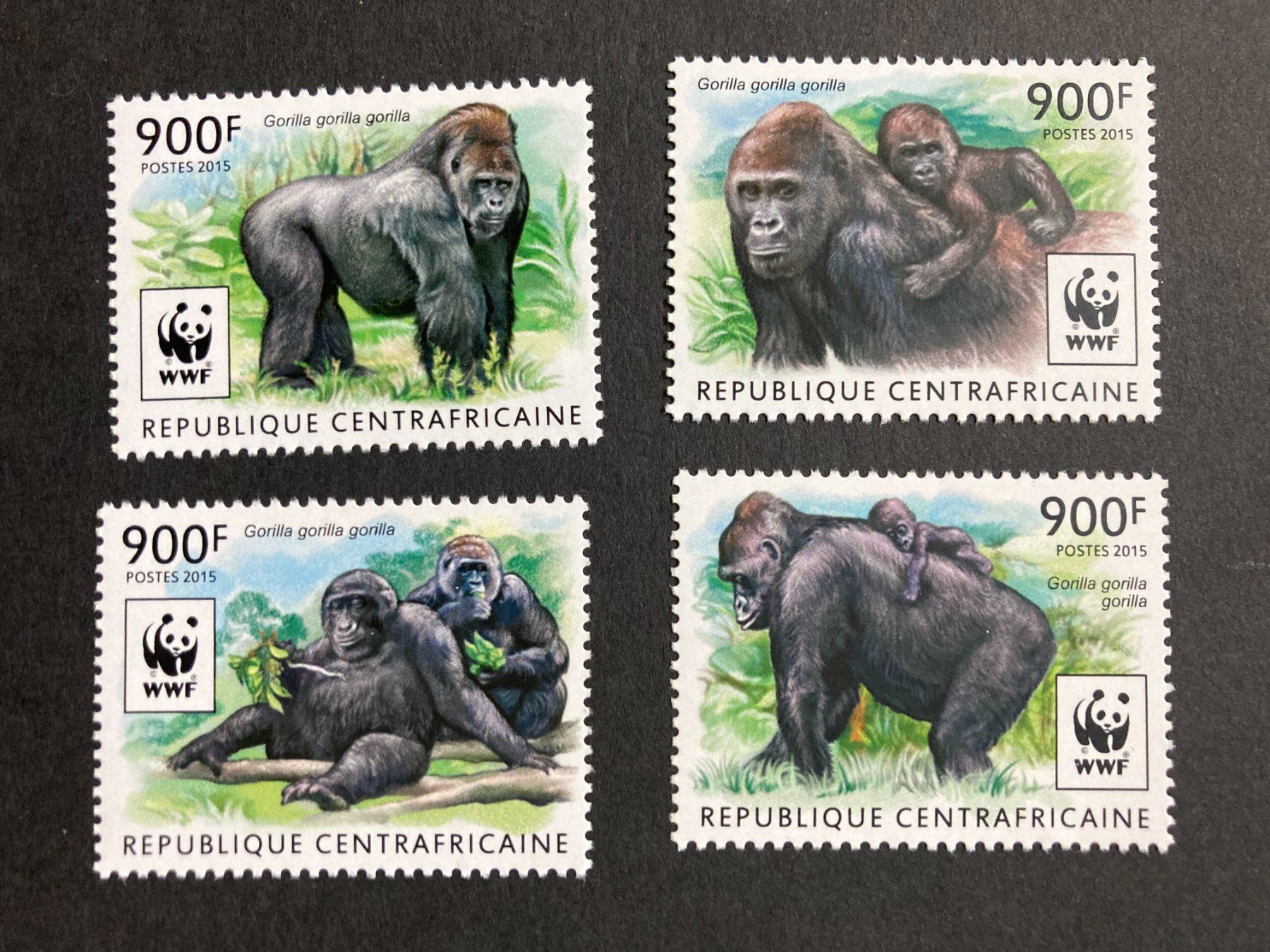 Tutti i francobolli: Zentralafrika 2015 Satz WWF Gorilla postfrisch – Nuovo (secondo la descrizione) da Liestal venduto da schnueps