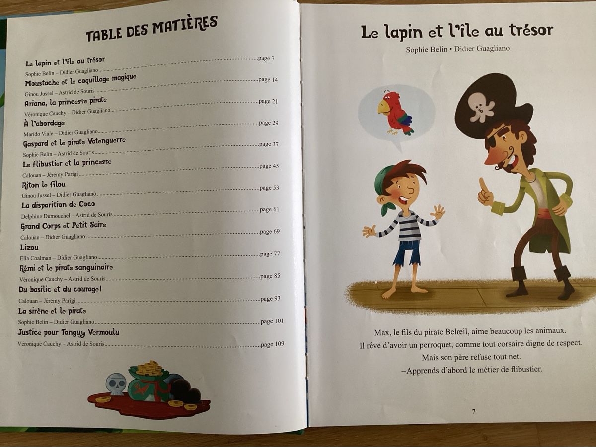 Libri: Histoires des pirates  – Usato da Birmenstorf AG venduto da Hoerminator 2