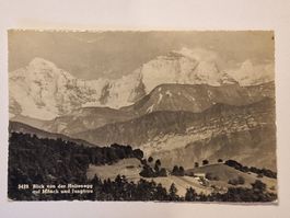 Blick von der Haltenegg auf Mönch und Jungfrau