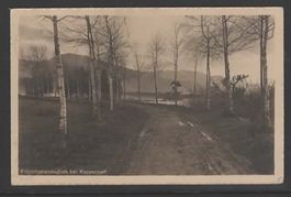Frühlingslandschaft bei Rapperswil 1914   (K