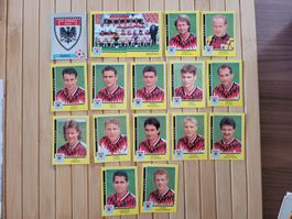 FC Aarau Panini Sticker-Set Team Football 96