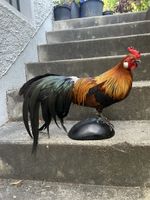Zwerghahn