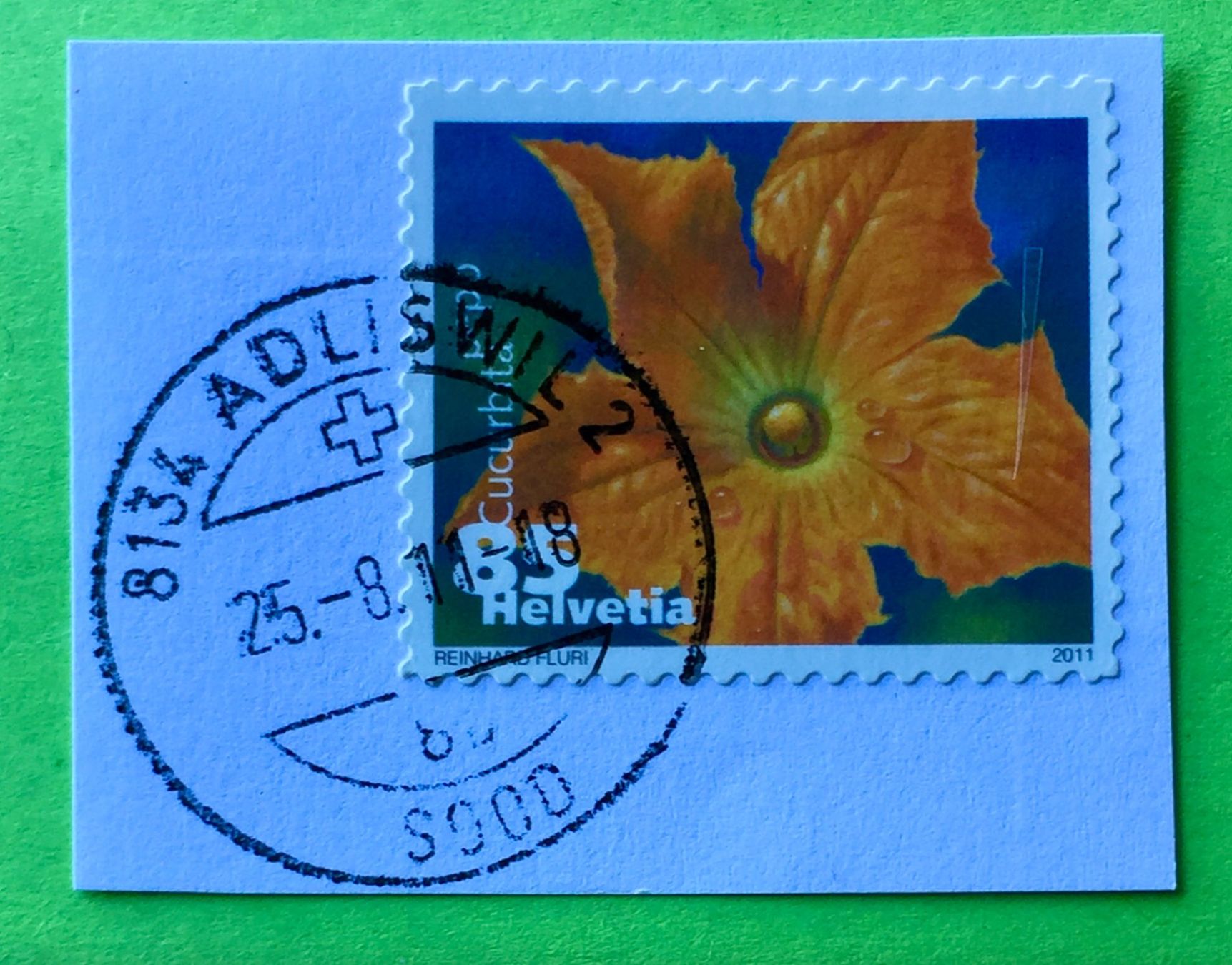 Tutti i francobolli: Nr.1376 Dauermarken Gemüseblüten 2011 mit Stempelt Zucchini – Usato da Aarau venduto da Billa007