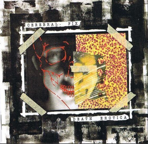 CD: Cerebral fix - Death... – Usato da St-Cergue venduto da VeganWarrior