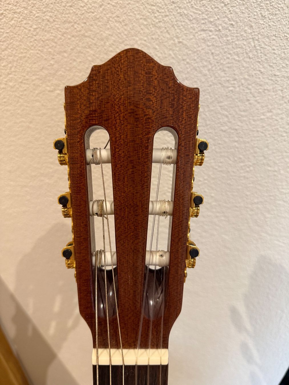 Höfner Strumenti musicali: Höfner Konzertgitarre inkl. Tasche & Ständer – Usato da Oberwil-Lieli venduto da kev_vm5v 3