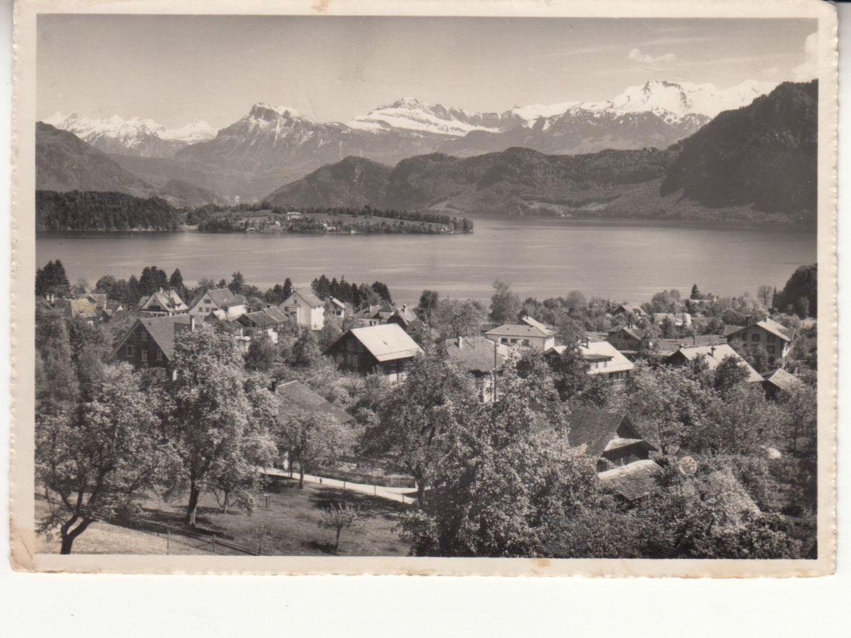 Cartes postales: Meggen 1950 – D'occasion à Bürglen TG par StampGraf