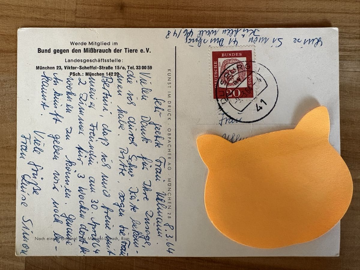 Cartoline postali: AK mit Bild von Michael Durach / Tierschutz – Usato da Rümlang venduto da Kartenpost1 1