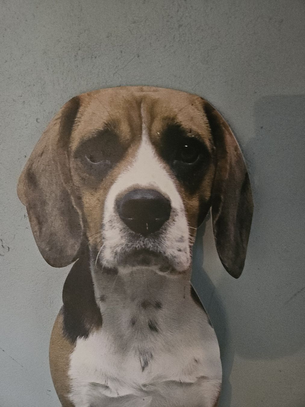 Beagle Statuette: trompe l'oeil Koziel Beagle – Usato da Thônex venduto da lacomtessedesfees 1