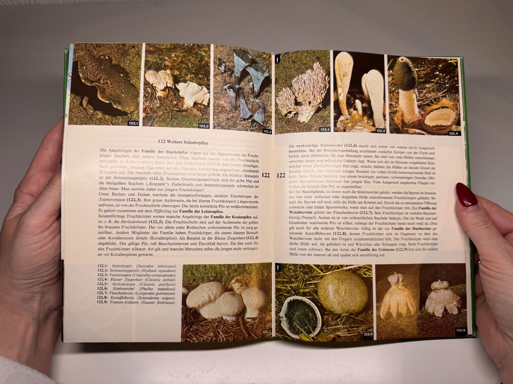 Libri: BUCH: Die Pflanze Sammelband – Usato da Grosswangen venduto da Second_hand_paradise 8