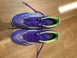 Adidas - F50 Indoor League in lila-weiss