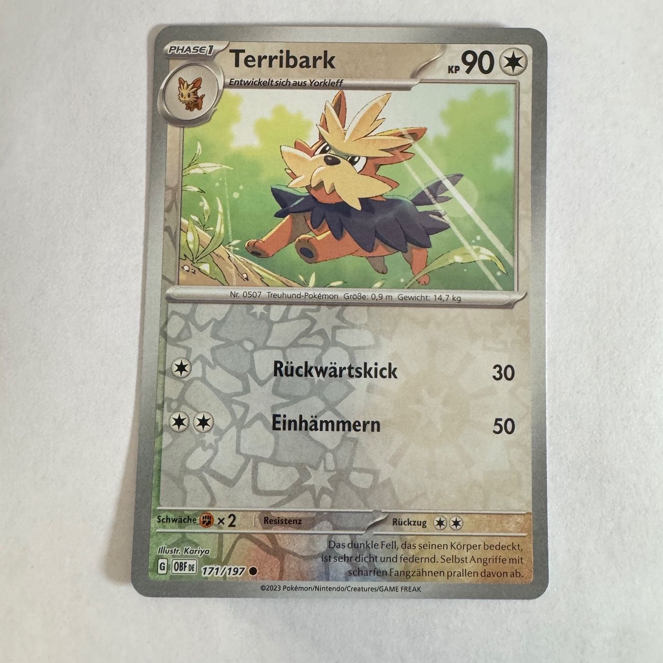 Pokémon Carte collezionabili: Pokémon OBF - Terribark - 171 / 197 - DE – Nuovo (secondo la descrizione) da Staad SG venduto da miaCards