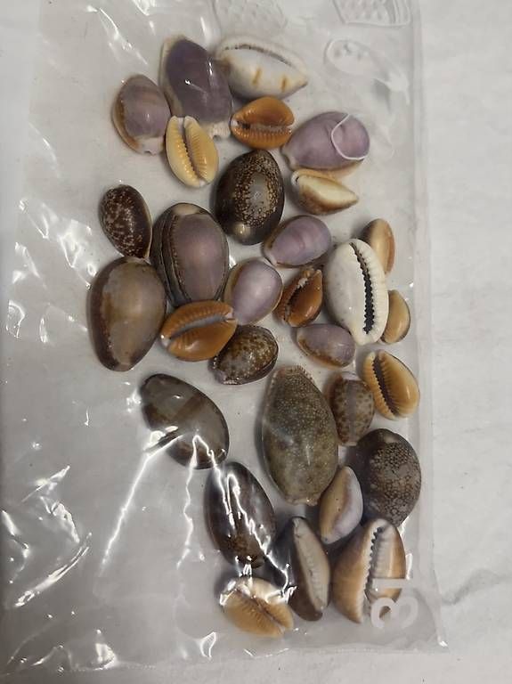Tutte le decorazioni: sack voll muscheln – Usato da Zürich venduto da reg91