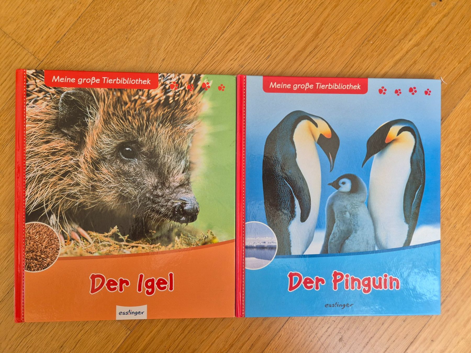 Libri: Tierbibliothek: Igel und Pinguin – Usato da Adliswil venduto da Al05