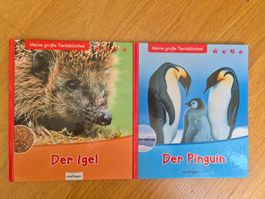 Tierbibliothek: Igel und Pinguin
