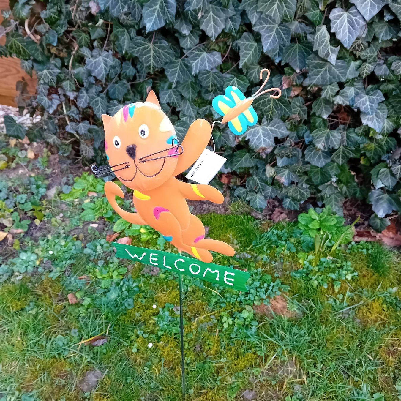 Migros Tutte le decorazioni: Willkommensschild Katze – Nuovo (secondo la descrizione) da Witterswil venduto da hele04 2