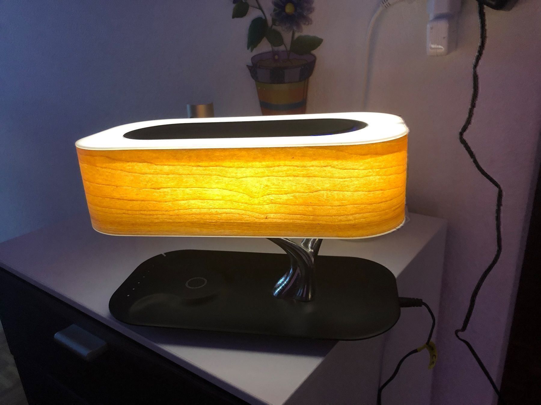 Lampade: Tree of Ligth Designer Lampe – Usato da Volketswil venduto da Latinozh5