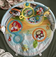 Tapis d’éveil Skip hop bébé  