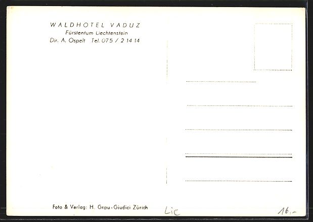 Cartoline postali: AK Vaduz, Waldhotel – Usato da Berlin venduto da bartko-reher 1