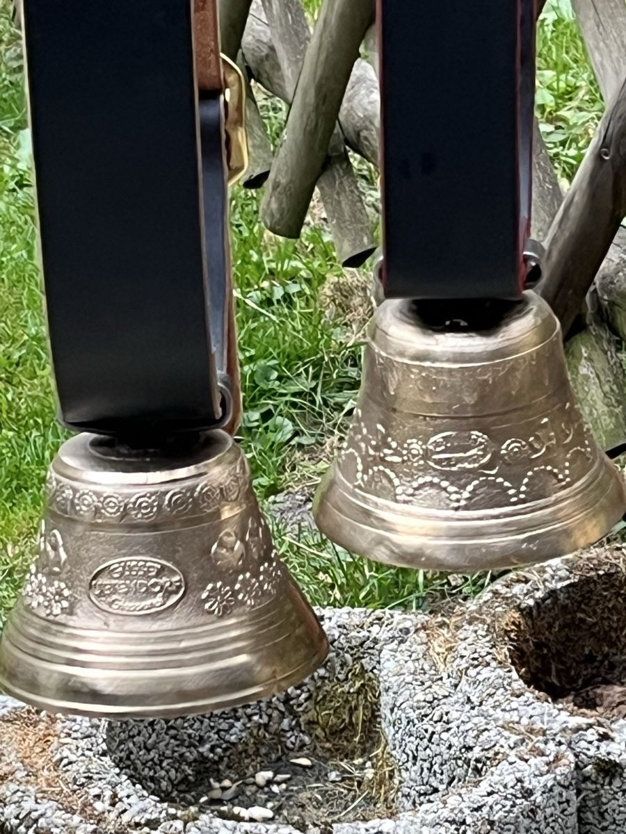 Campanacci mucche: Zwei Neue Weideglocken – Nuovo (secondo la descrizione) da Wasen im Emmental venduto da weh_qg2d 1