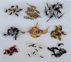 Handgefertigt 90 Stück seher Fängege Fliege , Nymphen ...Neu