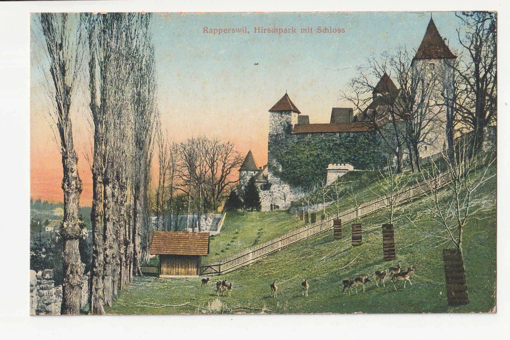 Cartoline postali: Rapperswil SG Hirschpark mit Schloss – Usato da Rheineck venduto da rhynegg