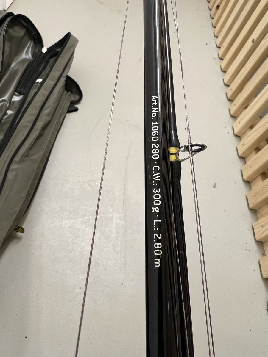 Angelruten: Wels set – Gebraucht aus Kirchberg BE von Fisherman95 5