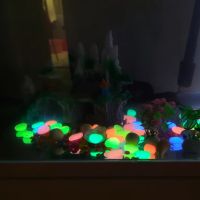 50 Stück künstliches farbiges Leuchtend Stein