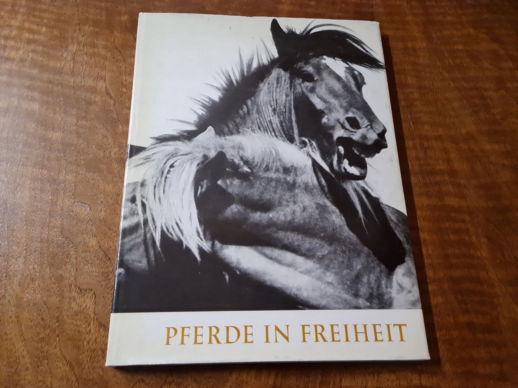 Libri: Pferde in Freiheit – Usato da Erstfeld venduto da Mario_boe0
