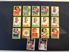 2026 Panini WM 17 Sticker