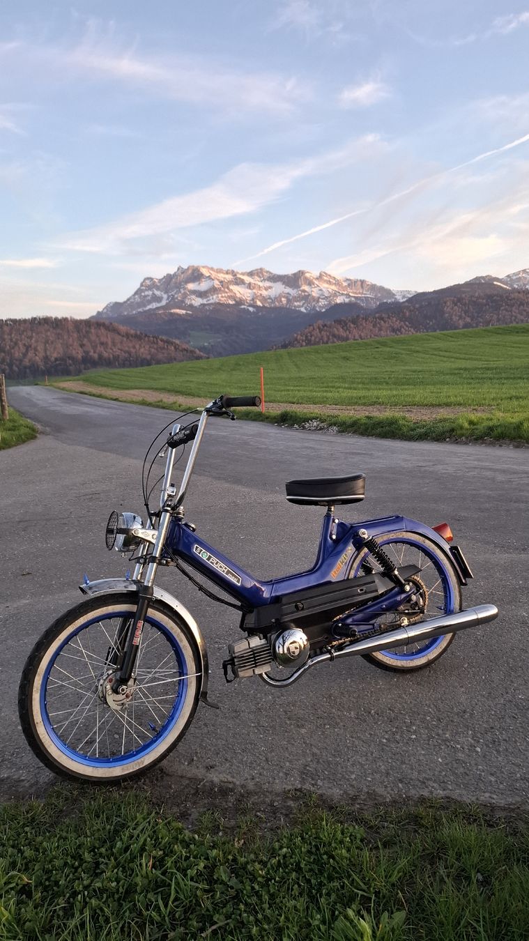 Puch Cyclomoteurs: Puch Maxi S – D'occasion à Luzern par Tim10 1