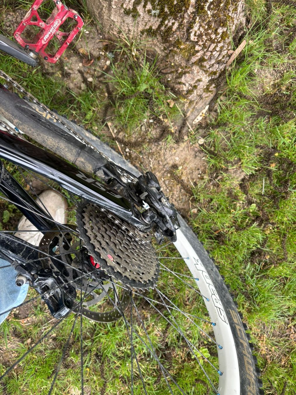 Specialized Biciclette: Specialized SX Trail – Usato da Kreuzlingen venduto da Marius_Ha 3