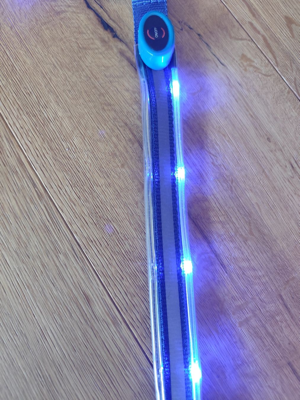 Brides, licols: Pony LED Vorgeschirr  – Défectueux à Kerzers par sb_12 1