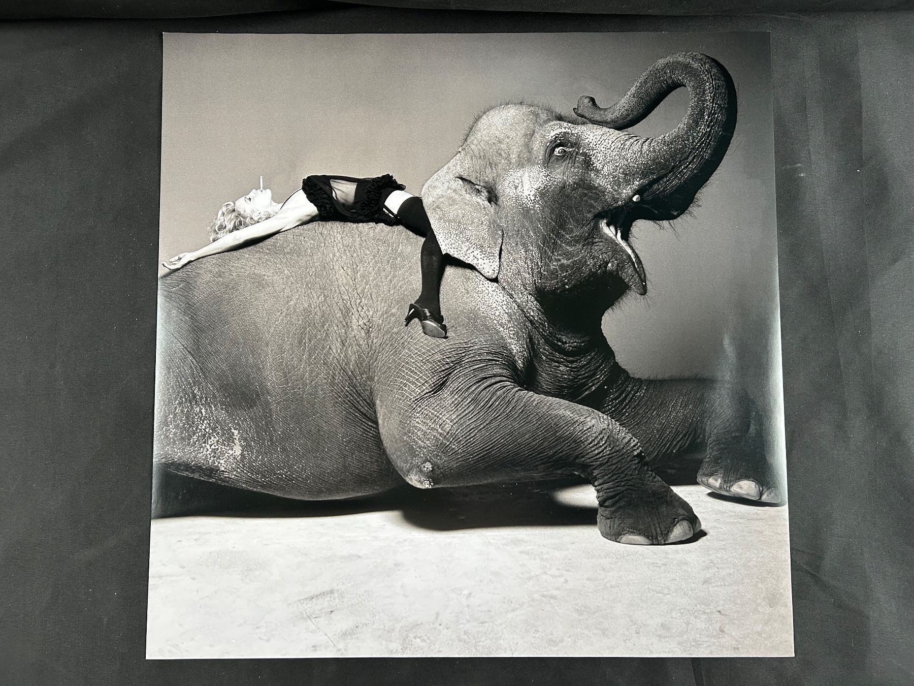 Foto & Immagini: Originalfotografie Michel Comte "Daryl Hannah" – Usato da Eschenbach LU venduto da rog_y5bx