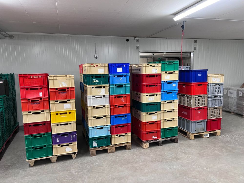 Diverse Lagerkisten Lager Box Transportkisten (Gebraucht) in Boll für ...