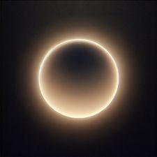 Profile image of AMHHN