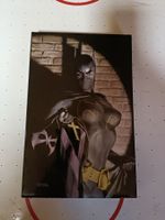 Batgirl Collector Box - Schuber + Comic