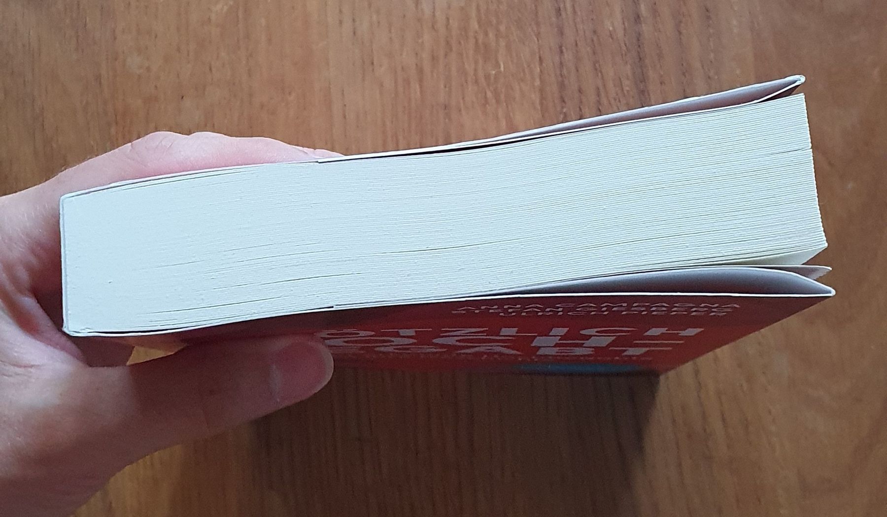 Libri: Buch Plötzlich Hochbegabt – Usato da Hagendorn venduto da happyclothing 3