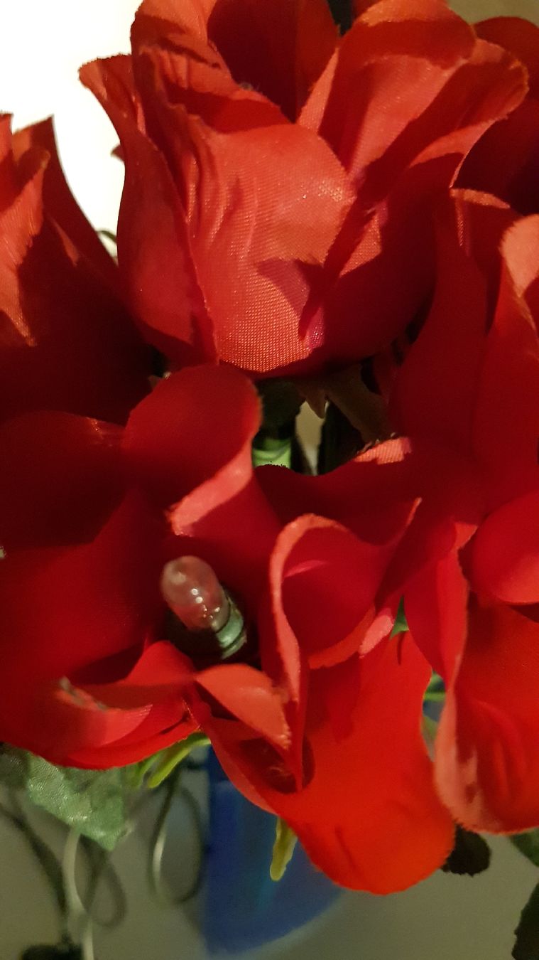 Ghirlande e barre luminose: Vase mit Lichterketten Blumen – Usato da Erlenbach ZH venduto da wem_6f9c 4