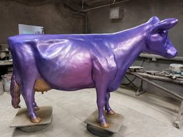 Kuh lebensgroß / Lieferung Schweiz per Spedition / 3D Modell