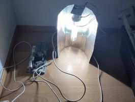 Grow Lampe