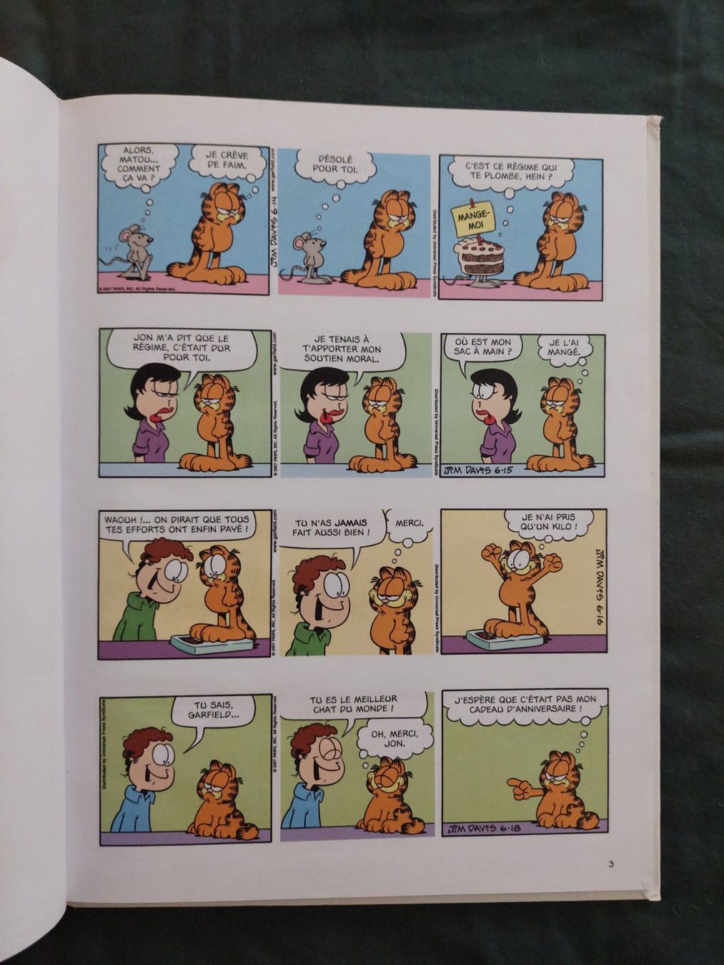 Fumetti: Garfield T. 53 Chat Déchire EO 2011 TBE – Usato da Genève venduto da Blu_BD 3