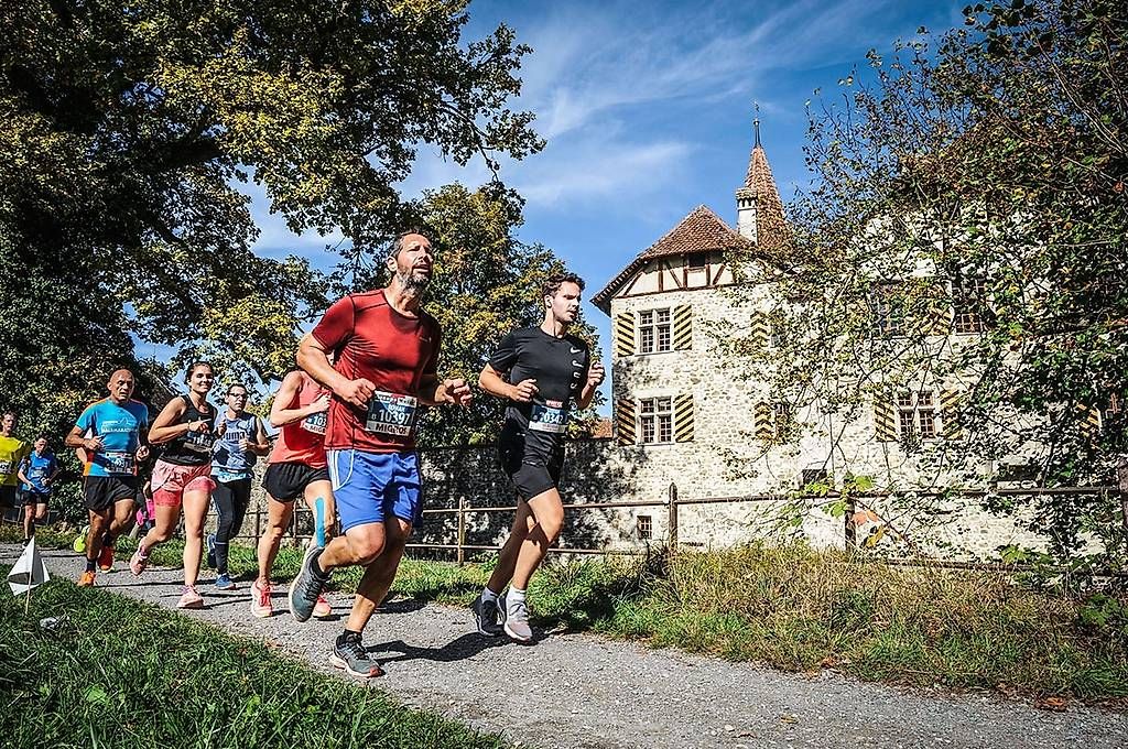 Biglietti: Hallwilerseelauf 2026 Startplatz – Nuovo e nell'imballaggio originale da Zuzwil SG venduto da Speedy88
