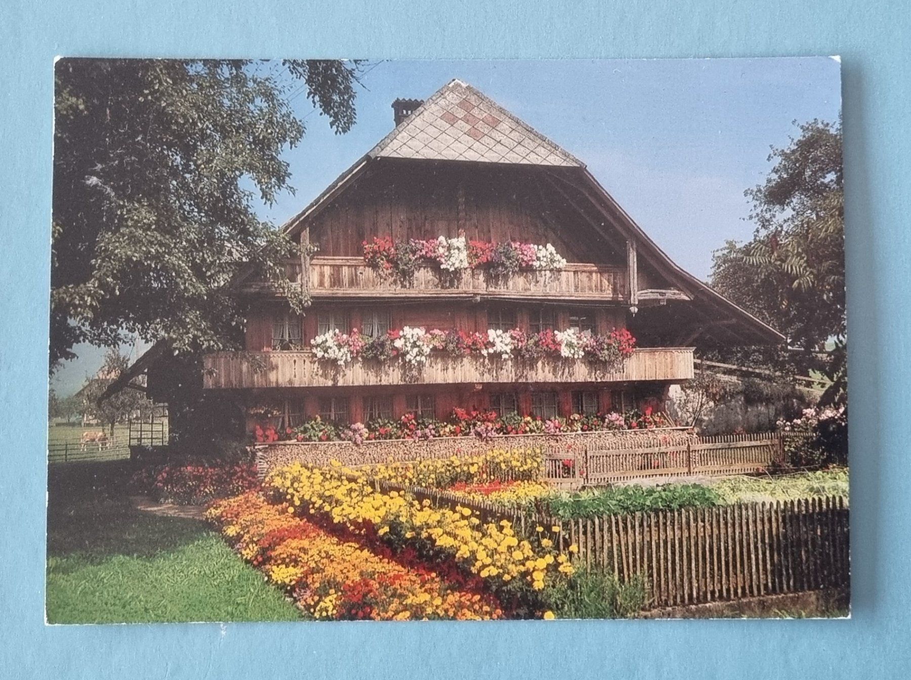 Cartoline postali: Berner Bauernhaus – Usato da Rothrist venduto da RROENK