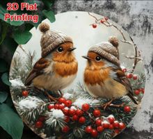 Metallschild Vogel /Winter Rund 20cm Durchmesser Rotkehlchen
