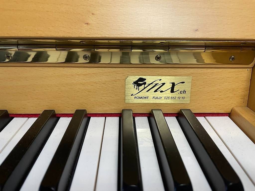 Strumenti musicali: Piano droit de la marque Carl Ebel – Usato da Misériez (Salins) venduto da ndf_bby7 4