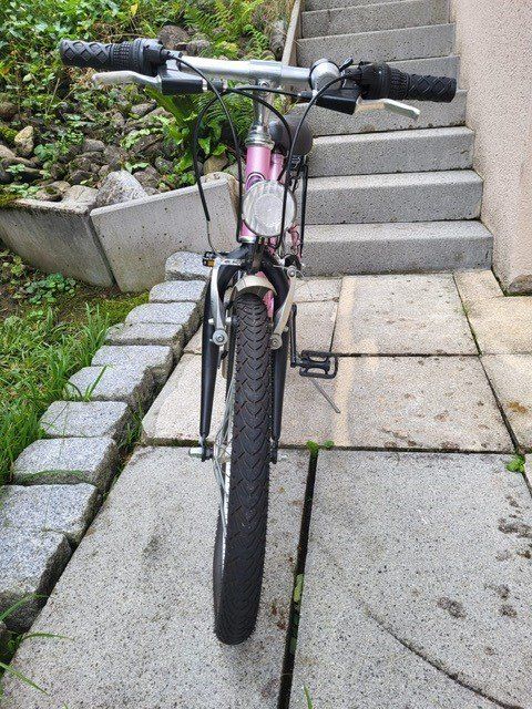 Biciclette: Fahrrad – Usato da Wolfenschiessen venduto da Un17 2