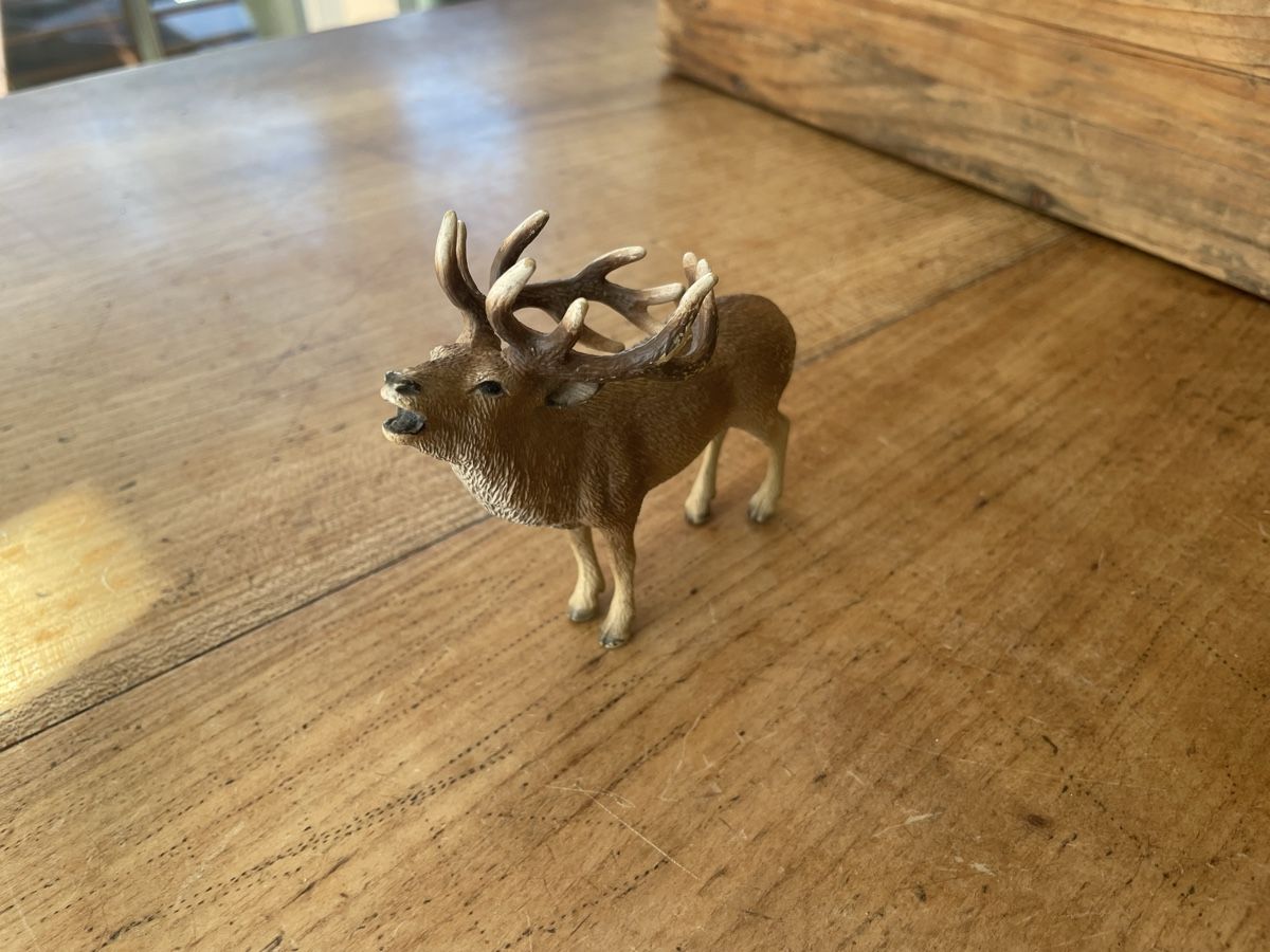 Schleich Jouets: Schleich Hirsch – D'occasion à Bonstetten par soleillle