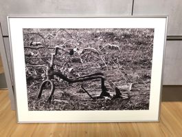 Fotografie Bild Gemälde Bilderrahmen Velo Hausdeko Kunst