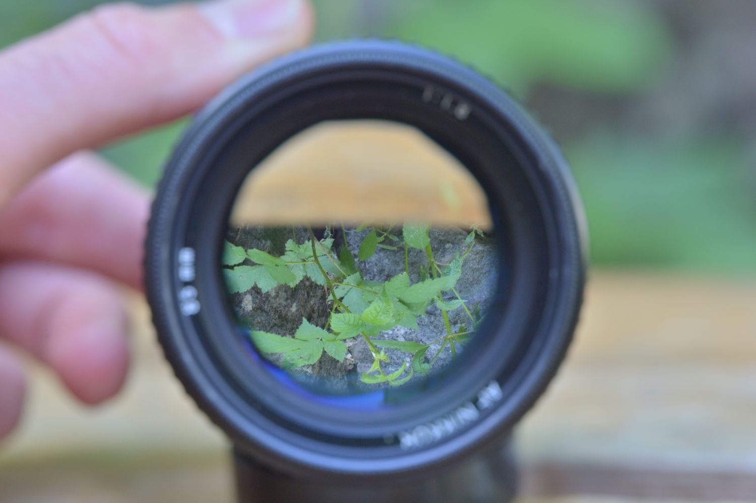 Nikon Obiettivi: Nikon AF 85mm f1.8 – Usato da Lichtensteig venduto da dan_rj7z 3