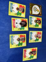 Ghana 7x panini